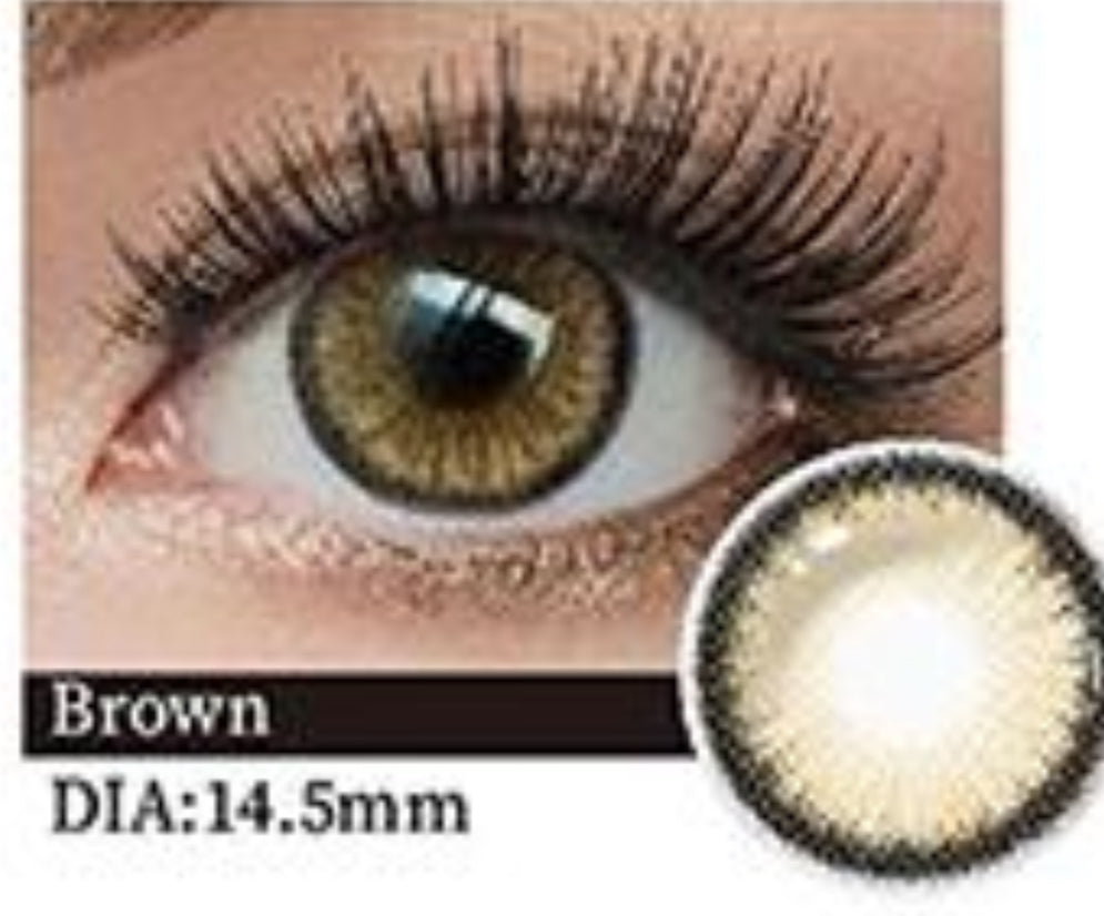 Diamond Sugar Brown🤎