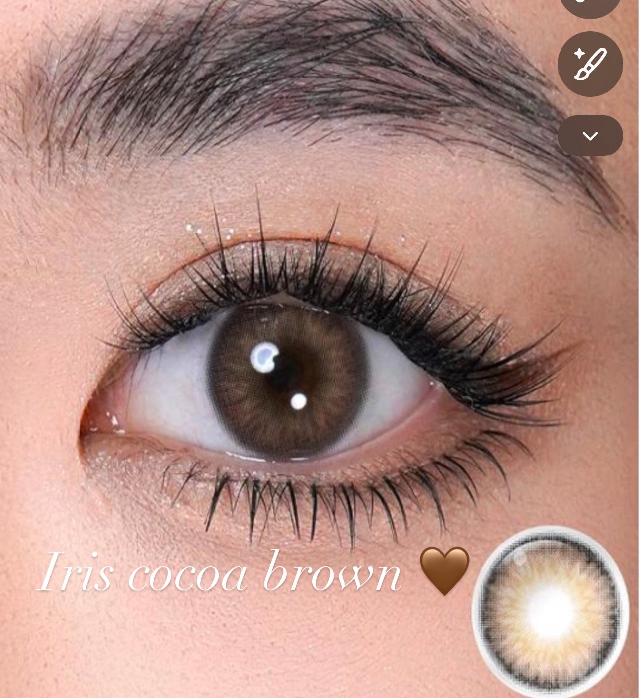 Iris cocoa brown 🤎