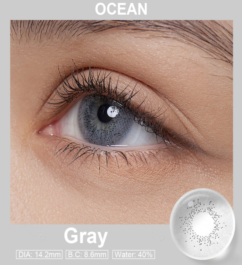 Ocean Gray 🩶