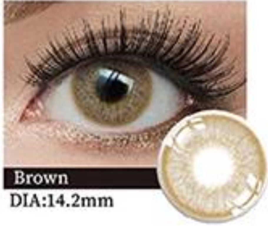 Pola 4 Tone Brown🤎