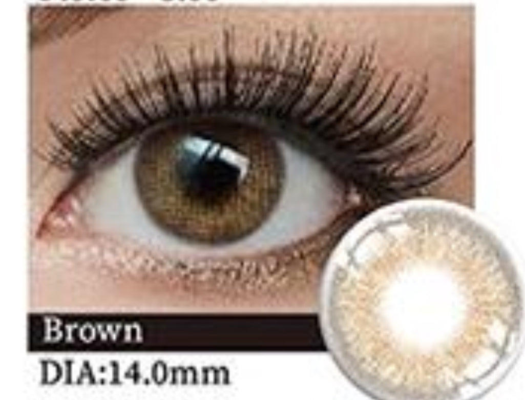 Little Wild Cat Brown 🤎