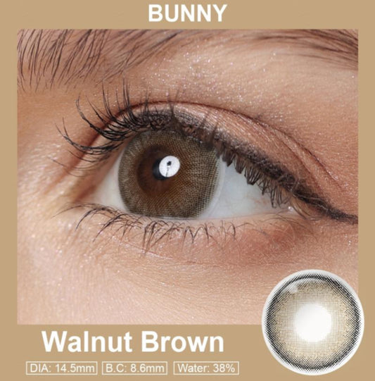 Bunny Walnut Brown 🤎