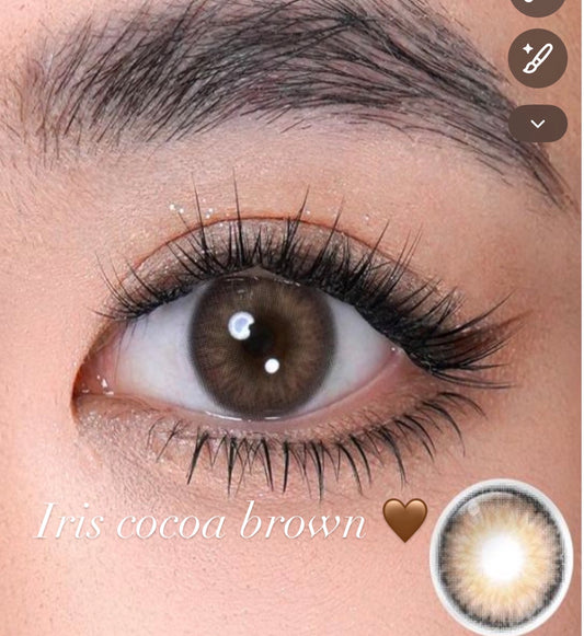 Iris cocoa brown 🤎