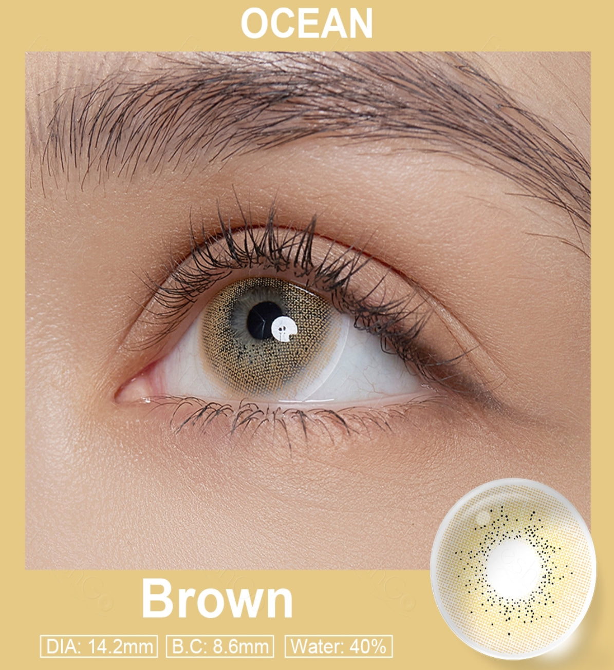 Ocean Brown 🤎